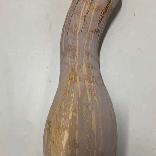 南瓜