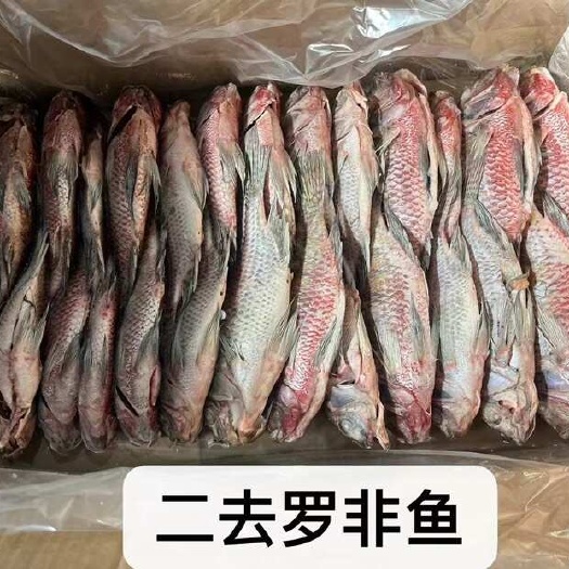 西安活冻二去罗非鱼工厂直销，自助餐/快餐/食堂专用