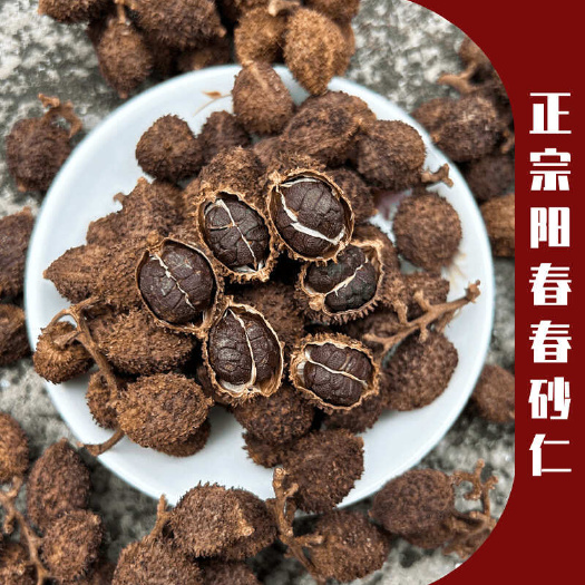 【广东阳春发货】无硫春砂仁传统炭烘砂仁中药材生晒阳春砂仁包邮