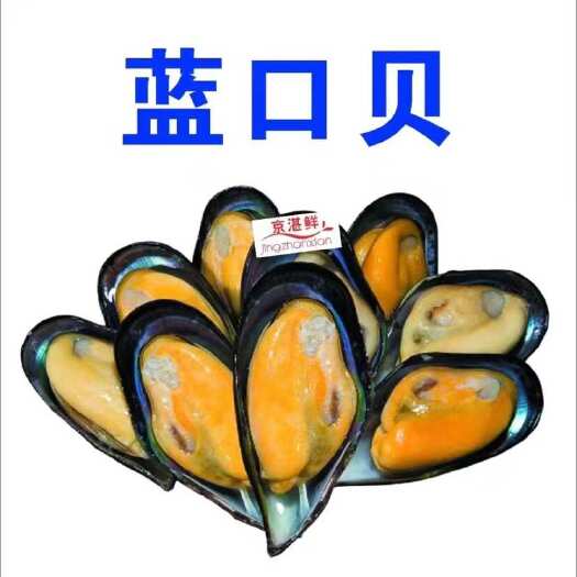 西安京湛鲜-干冰蓝口贝西安直发