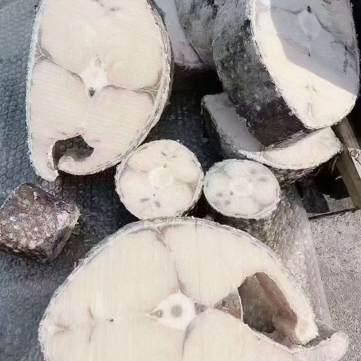 深海油甘鱼，别名马哈鱼11.5元一斤
