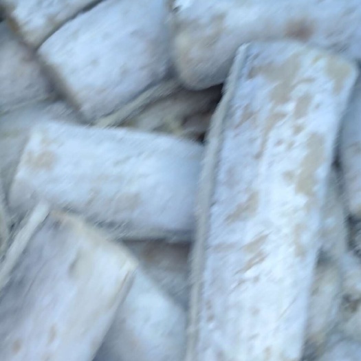 滨州带鱼段，去头去尾中间段！质量很好产地直发无差价