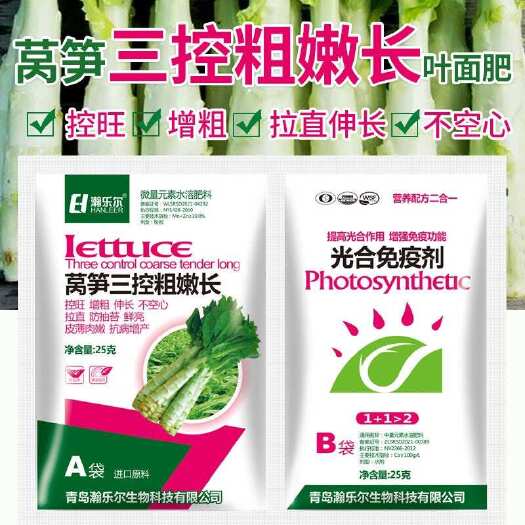 沂南县莴笋三控粗嫩长·光合免疫剂粗茎无空心无抽苔不裂口质地脆嫩增产