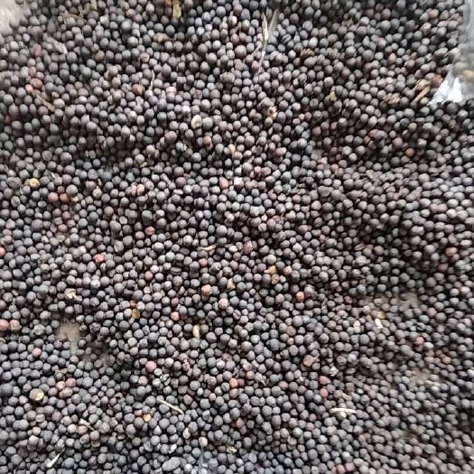 嘉鱼县油菜籽
