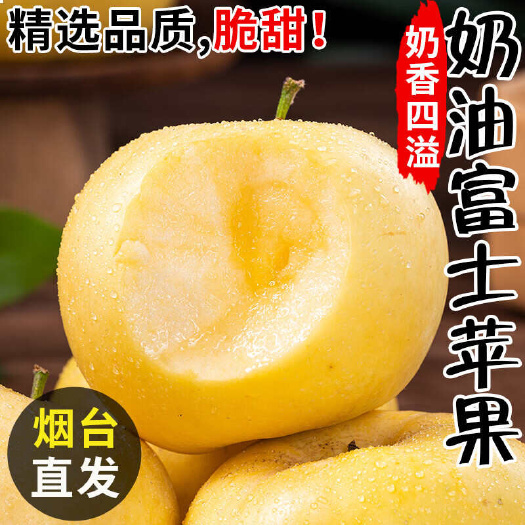 莱阳市精品果山东奶油富士苹果支持一件代发社区团购落地配