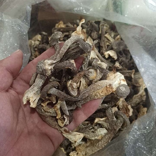 宾阳县云南鹿茸菇，香脆可口！天然晾晒营养健康