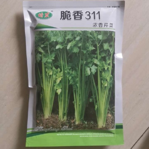 怀化芹菜种子原装250克脆香311浓香芹菜空心纤维少香味浓耐抽苔