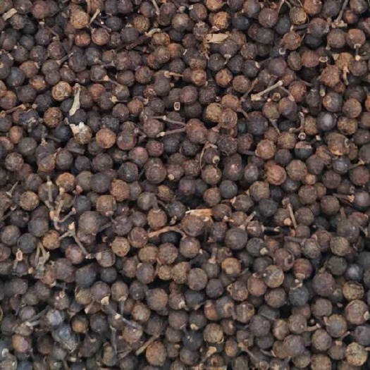 黎平县贵州山苍子 荜澄茄 木姜子干货 酸汤 炒菜原料 产地直发