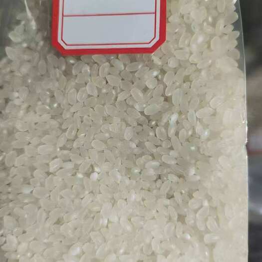 庆安县东北珍珠米