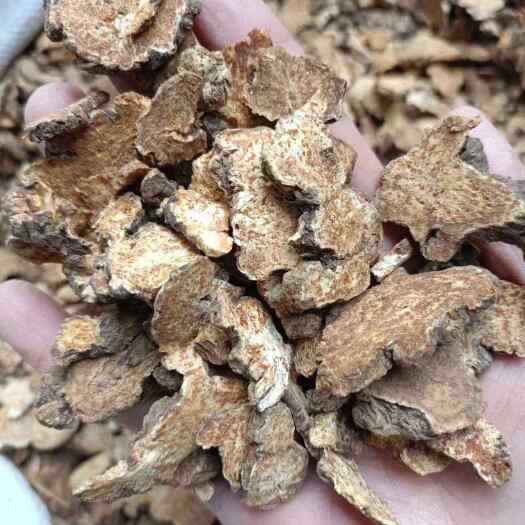 苍术 承德  东北  正品干货    家种  各种规格