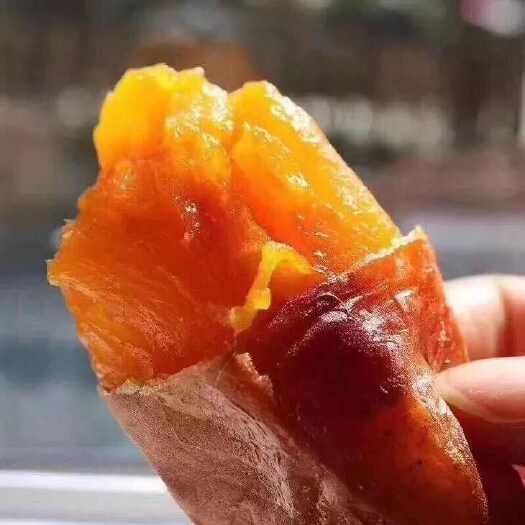 六鳌蜜薯口感好 黄沙土西瓜红蜜红薯批发 烤红薯专用