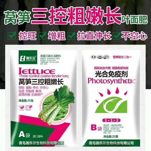 莴笋三控粗嫩长·光合免疫剂粗茎无空心无抽苔不裂口质地脆嫩增产