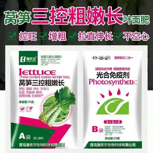 沂南县莴笋三控粗嫩长·光合免疫剂粗茎无空心无抽苔不裂口质地脆嫩增产