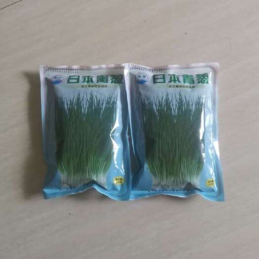 怀化小香葱种子250克原装日夲青葱叶子深绿耐寒性强不易折