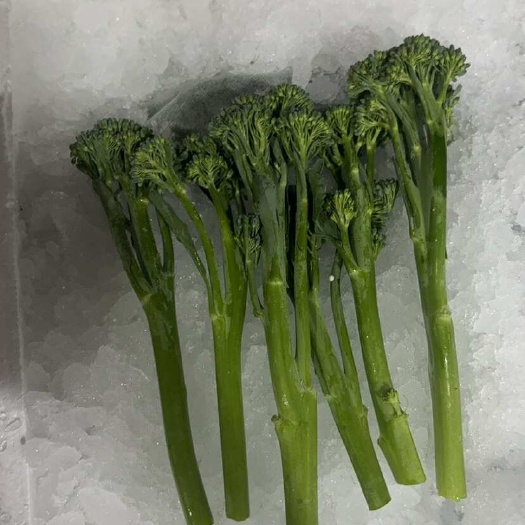 广州澳洲甜柑西兰苔