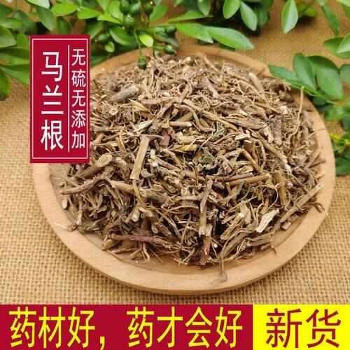 中药材马兰根 野生马兰根 马兰草根 新货马蔺根包邮