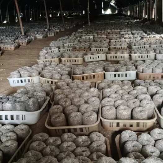 沂南县电商直播包  1.2斤