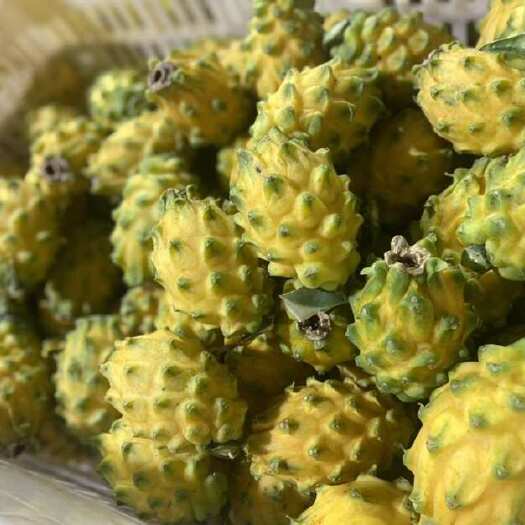 保山云南燕窝果，麒麟果