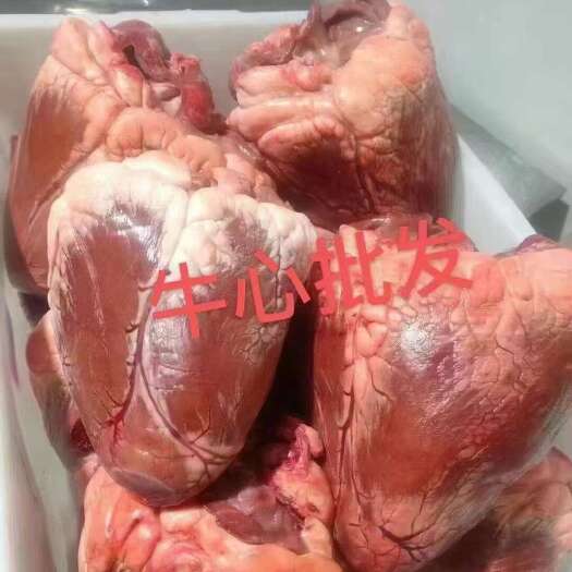 广东新鲜牛心 可溯源品质保证 一手货源 厂家直发