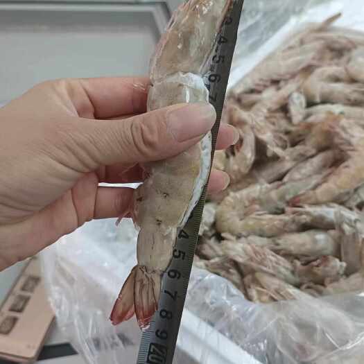 中牟县开背虾20-30 30-40 40-50   50-60