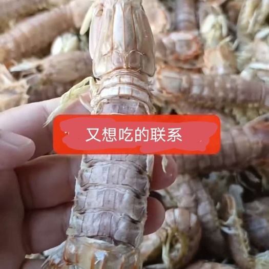 滨州皮皮虾