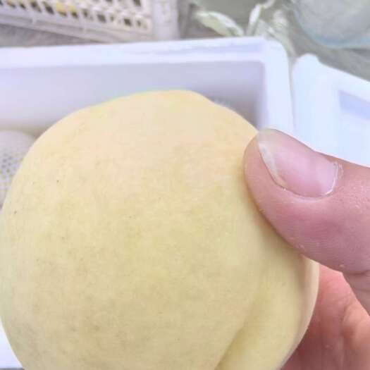 盐城新鲜江苏盐城亭湖白桃毛桃直供批发零售季節限定果园发货中