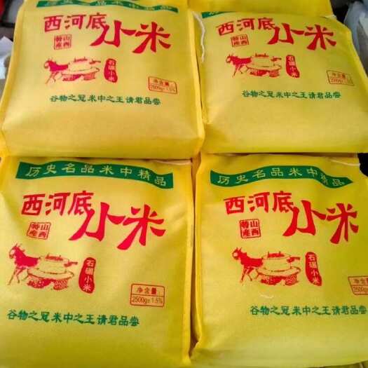 晋城西河底特产绿色小米