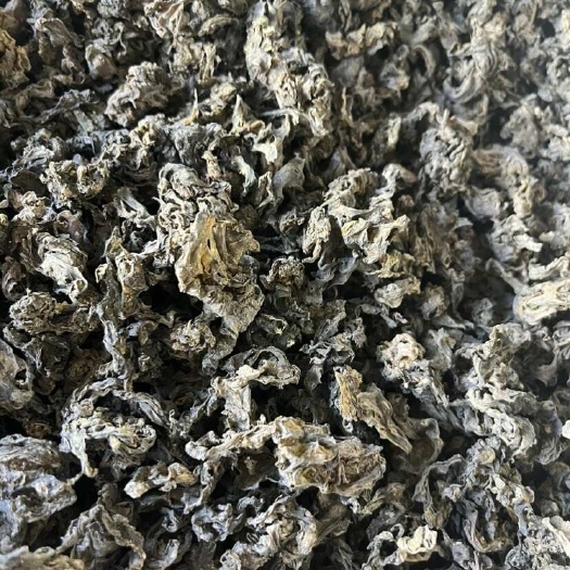 陇西县甘肃地皮菜批发，地木耳，地地软，土特产荒原野生地皮菜