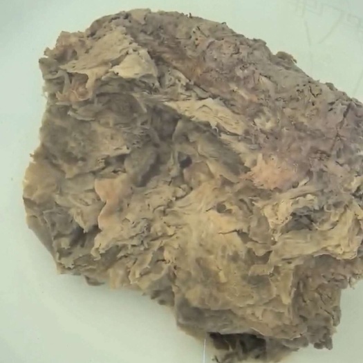 乐昌市太岁肉灵芝