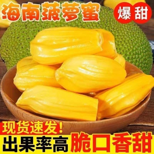 三亚海南菠萝蜜一件代发自家果园0.3元/斤海南糟粕醋一件代发！