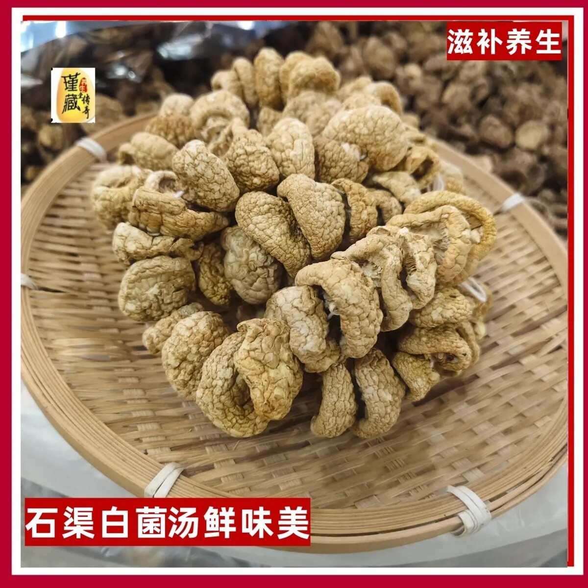 成都石渠白菌大货批发