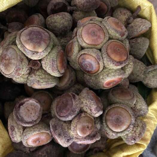 梧州梧州本地风流果大量鲜货，今年的果
