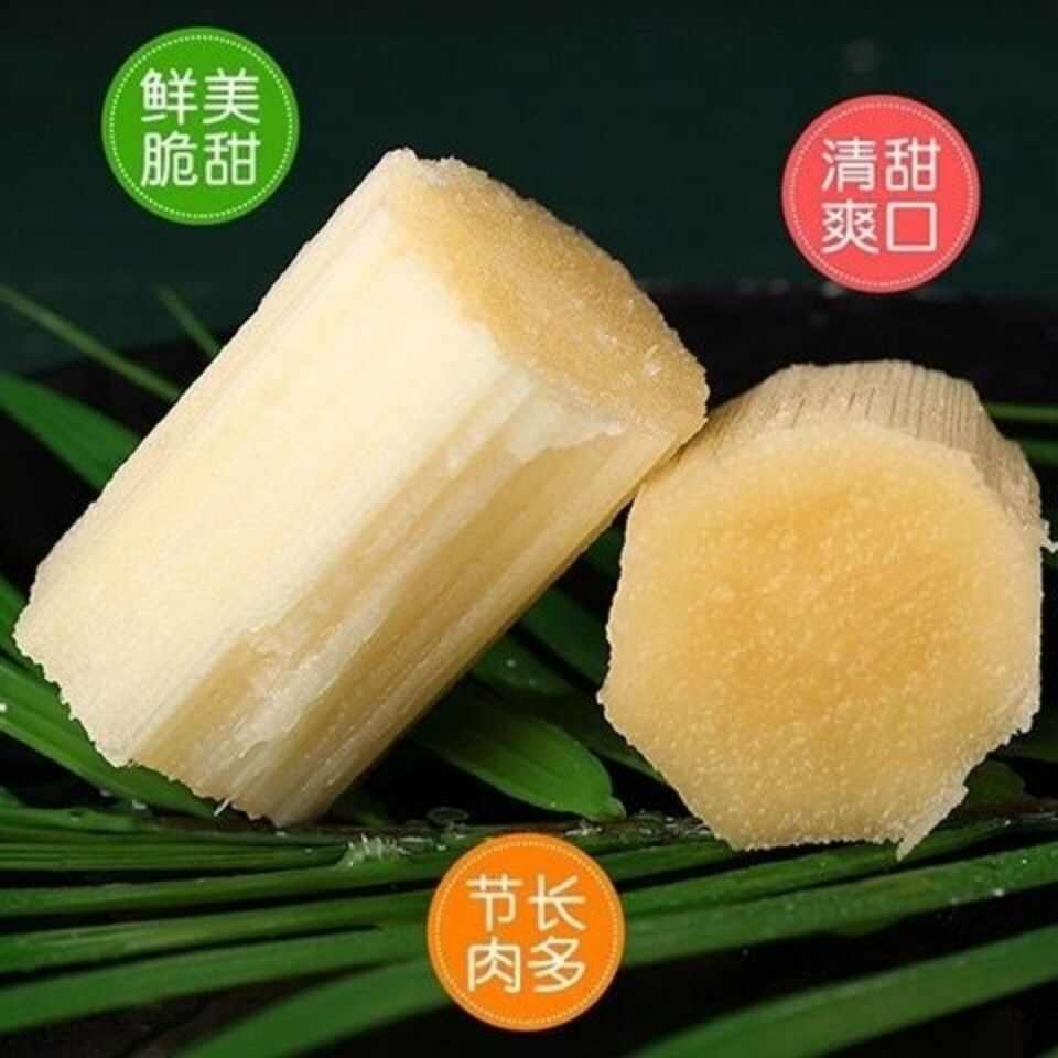 一件代發(fā)廣西木格白玉甘蔗打包好發(fā)貨可帶甘蔗刀發(fā)貨
