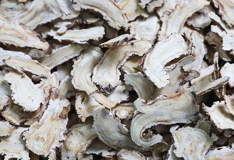 亳州批发甘肃当归片 当归头选片 归节 全当归 精品