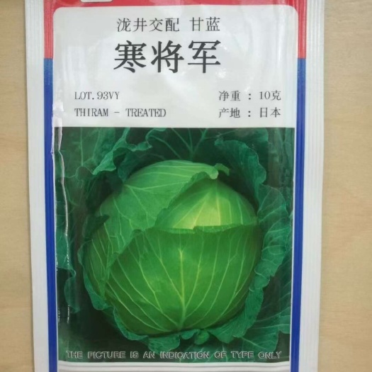 寒将军甘蓝种子叶色浓绿耐裂果中晚熟品质有保障一亩3包