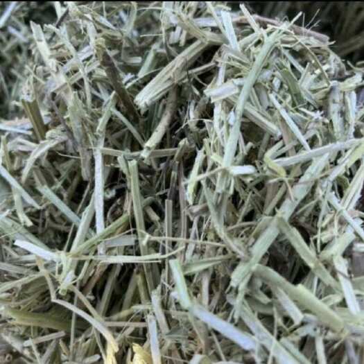 宁陵县精品花生秧