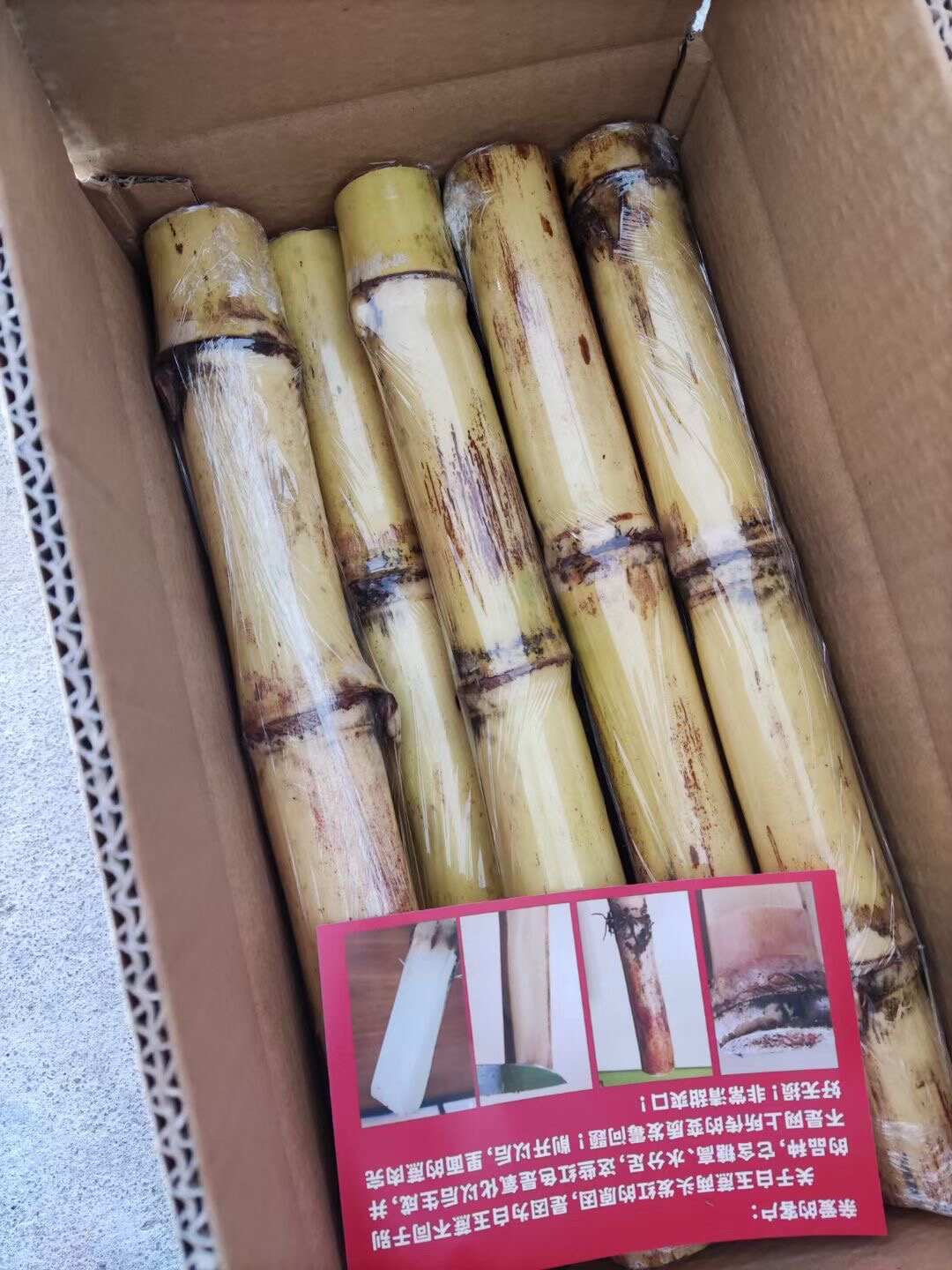 一件代發(fā)廣西木格白玉甘蔗打包好發(fā)貨可帶甘蔗刀發(fā)貨