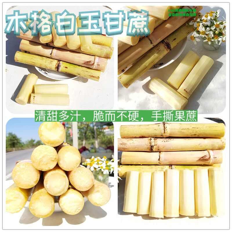 一件代發(fā)廣西木格白玉甘蔗打包好發(fā)貨可帶甘蔗刀發(fā)貨