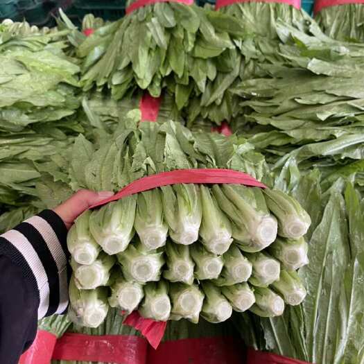 邯郸精品油麦