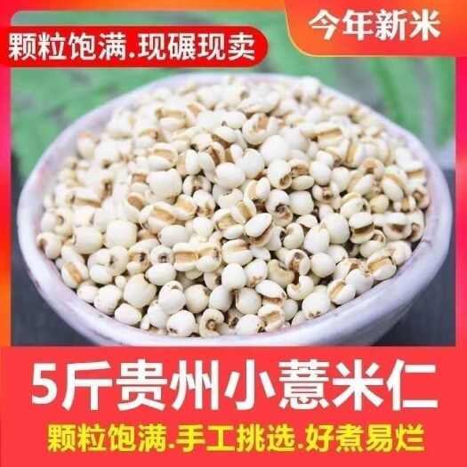 新鲜贵州小薏米生薏仁薏米无硫米五谷杂粮批发