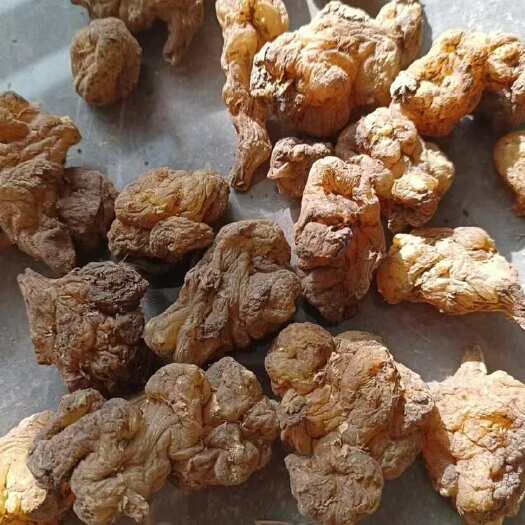 长沙鲜洋姜 干洋姜 胰岛果 鬼子姜 产地直发