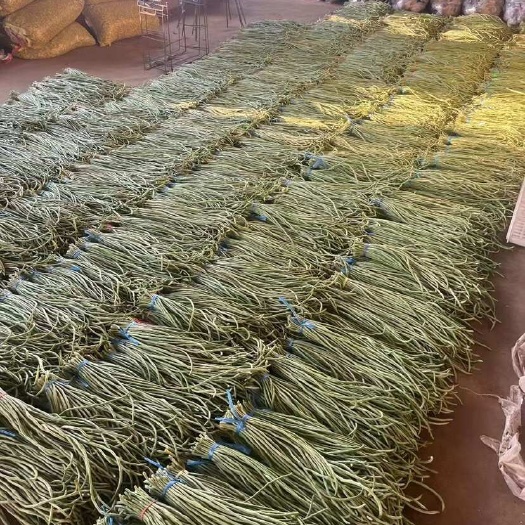 豆角上市 量大 质量好 有需要的老板可以联系 代发车