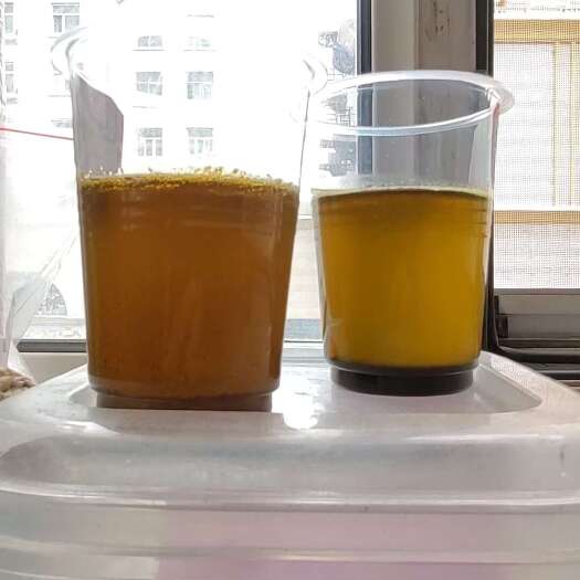 满洲里市俄罗斯油菜籽75-80分油色41-42含油