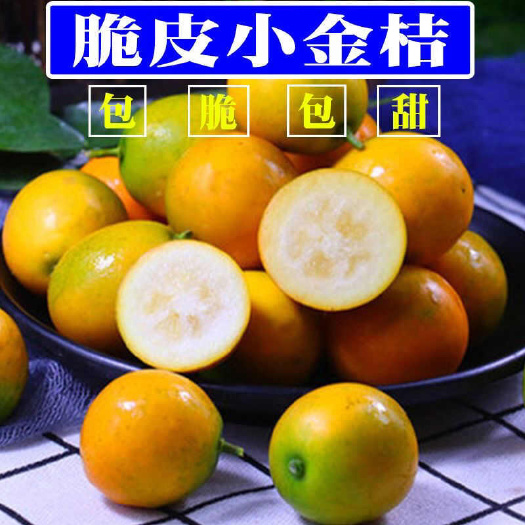 賀州【當(dāng)季金柑】廣西脆蜜金柑小金桔無籽滑皮金桔非融安桂林脆皮油皮