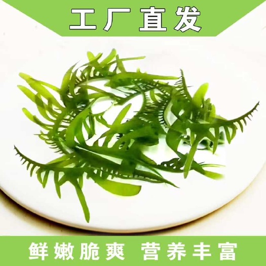 大连新嫩的海带眼睫毛，涮火锅、凉拌口感非常好，五斤一箱包邮到家