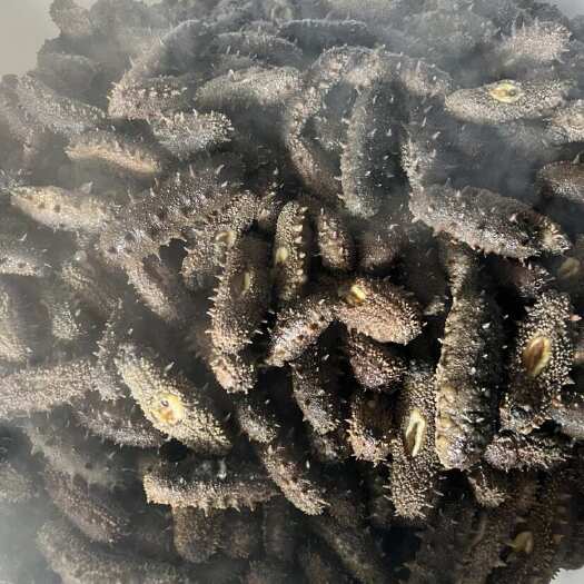 大连大连即食海参，底价出货