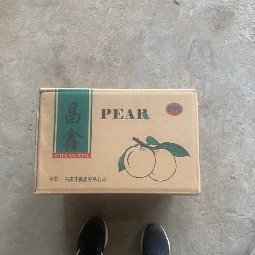 赵县皇冠梨