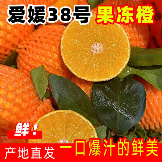 爱媛38号果冻橙个大皮薄产地直发
