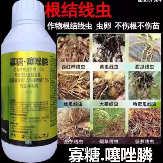 寡糖噻唑磷，根结线虫，西红柿线虫，黄瓜线虫不伤根不伤苗