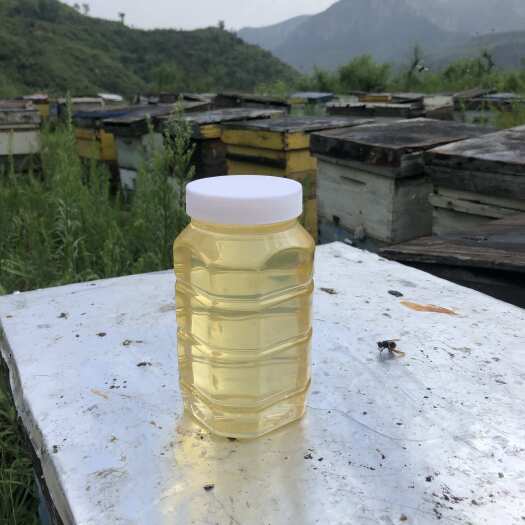 临清市纯天燃槐花蜜，原蜜，土蜂蜜，都是高品质蜂蜜，价格便宜